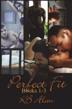 Perfect Fit Books 1-3: Box Set
