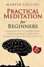 Practical Meditation for Beginners: A Surefire Way to Lower Stress, Increase Mental Clarity And Enhance Overall Bliss In Your Life