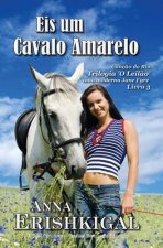 Eis um Cavalo Amarelo (Portuguese Edition): Cancao do Rio: O Leilao - Livro 3