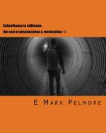 Schoolhouse to Jailhouse: the cost of miseducation & reeducation