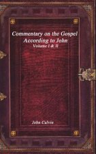 Commentary on the Gospel According to John