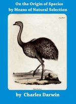 Origin of Species