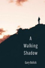 Walking Shadow