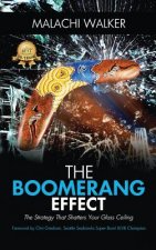Boomerang Effect