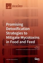 Promising Detoxification Strategies to Mitigate Mycotoxins in Food and Feed