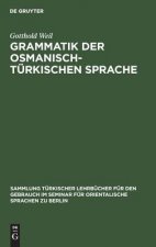 Grammatik der osmanisch-turkischen Sprache