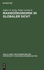 Makrooekonomik in globaler Sicht