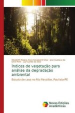 Indices de vegetacao para analise da degradacao ambiental