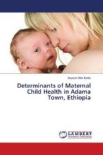 Determinants of Maternal Child Health in Adama Town, Ethiopia
