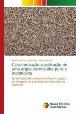 Caracterizacao e aplicacao de uma argila vermiculita pura e modificada
