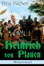 Heinrich von Plauen (Ritterroman)