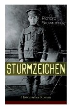 Sturmzeichen (Historischer Roman)