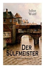 Der Sulfmeister (Historischer Roman)