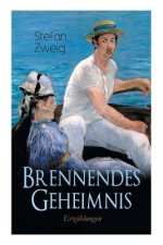 Brennendes Geheimnis. Erz hlungen