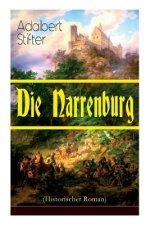 Narrenburg (Historischer Roman)
