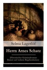 Herrn Arnes Schatz (Historischer Kriminalroman