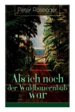 Als ich noch der Waldbauernbub war