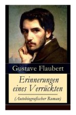 Erinnerungen eines Verr ckten (Autobiografischer Roman)