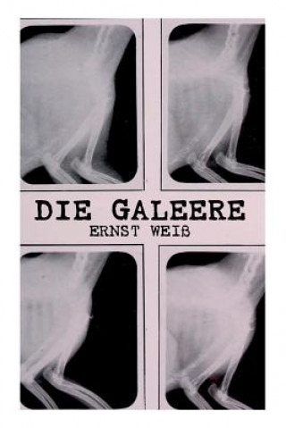 Galeere