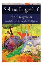Nils Holgerssons wunderbare Reise mit den Wildgansen