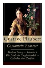Gesammelte Romane