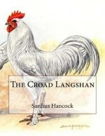 The Croad Langshan: Beauty Based Upon Utility