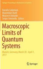 Macroscopic Limits of Quantum Systems