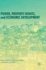 Power, Property Rights, and Economic Development