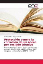 Proteccion contra la corrosion de un acero por rociado termico