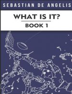What Is It Book 1: Drawings 1 to 250