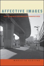 Affective Images: Post-apartheid Documentary Perspectives