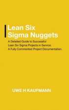 Lean Six Sigma Nuggets