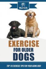 Exercise for Older Dogs: Top 10 Exercise Tips for Your Aging Dog!