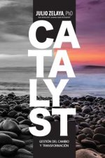Catalyst: Gestión del cambio y transformación