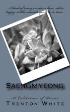 Saengmyeong: A Collection of Poems