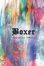 Boxer: The Fight Within