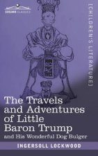 Travels and Adventures of Little Baron Trump