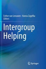 Intergroup Helping