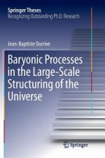 Baryonic Processes in the Large-Scale Structuring of the Universe