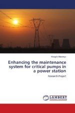 Enhancing the maintenance system for critical pumps in a power station