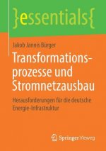Transformationsprozesse Und Stromnetzausbau