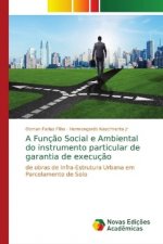 A Funç?o Social e Ambiental do instrumento particular de garantia de execuç?o
