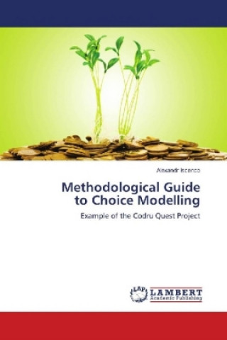 Methodological Guide to Choice Modelling