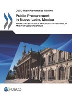 Public procurement in Nuevo Lean, Mexico
