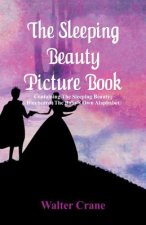 Sleeping Beauty Picture Book