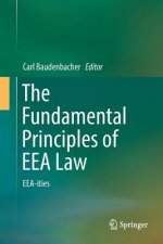 Fundamental Principles of EEA Law