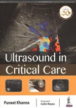 Ultrasound in Critical Care