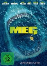 MEG, 1 DVD