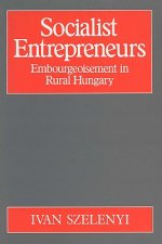 Socialist Entrepreneurs (P)