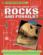 What Do You Know about Rocks and Fossils?